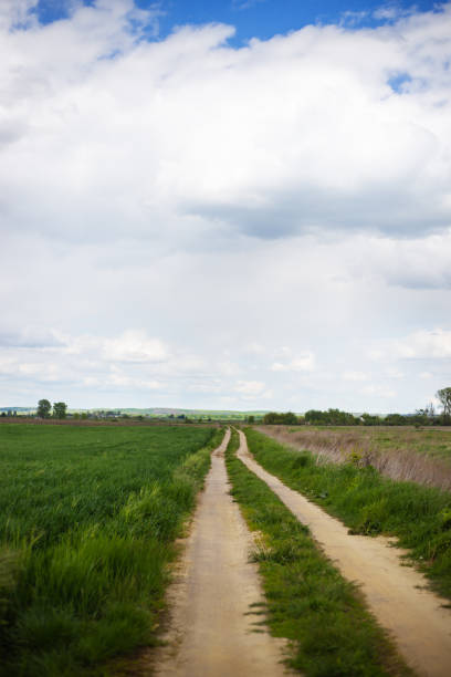 istock Rural road on sunny day. 1335220899