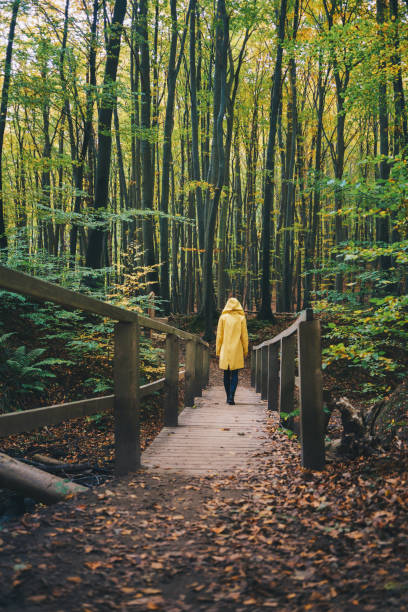 istock Woman walking through the autumn forest 1335221450