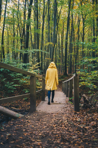 istock Woman walking through the autumn forest 1335223103