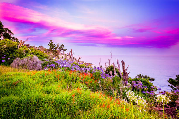istock Coastline of Eden against Blue-hour Sky 1335243374