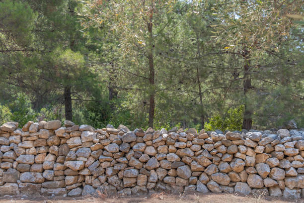 stacked natural rock wall at the forest edge