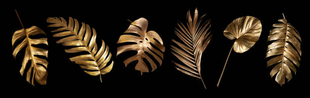 istock Tropical leaves gold and black, can be used as background(Monstera,palm,coconut)fernclipping path 1335247954