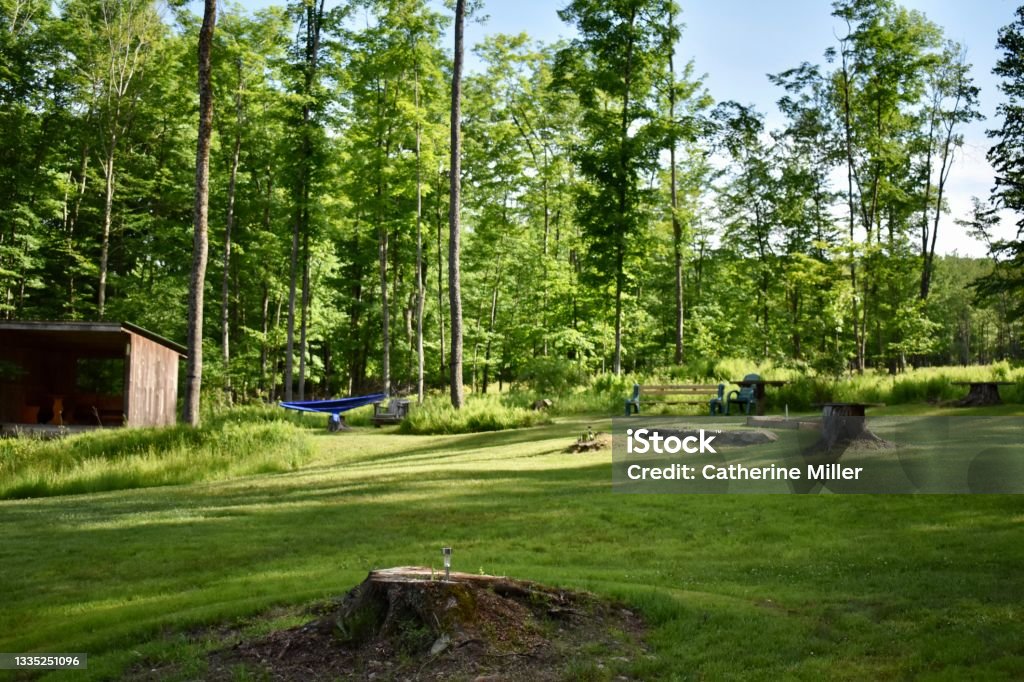 Upstate New York Camp Site Car camping campsite in the Catskills, Upstate New York with hammock, bench, and horseshoes. Catskill Mountains Stock Photo