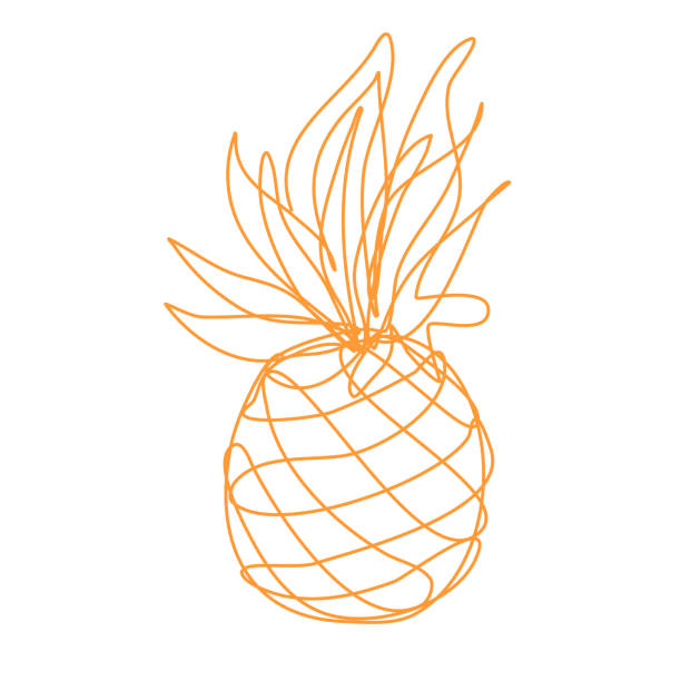 Pineapple in Continuous Line Drawing. Sketchy Single Ananas Fruit with Editable Stroke. Outline Simple Artwork with Editable Stroke. Vector Illustration. Vector Pineapple in Continuous Line Drawing. Sketchy Single Ananas Fruit. Outline Simple Artwork with Editable Stroke. ananas stock illustrations