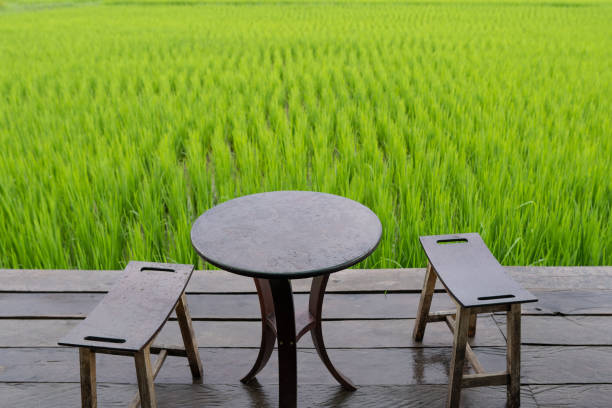 istock Tables and views of the fields 1335253469