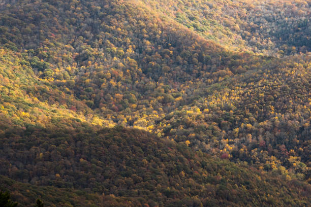 солнечный свет танцует над горными хребтами - panoramic great appalachian valley the americas north america стоковые фото и изображения