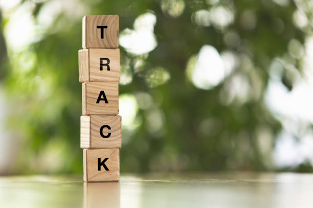 istock Five wooden cubes, blocks standing on table and showing word TRACK. Conceptual image about human rights, education, social issues, mental health, education and personal development. 1335257517