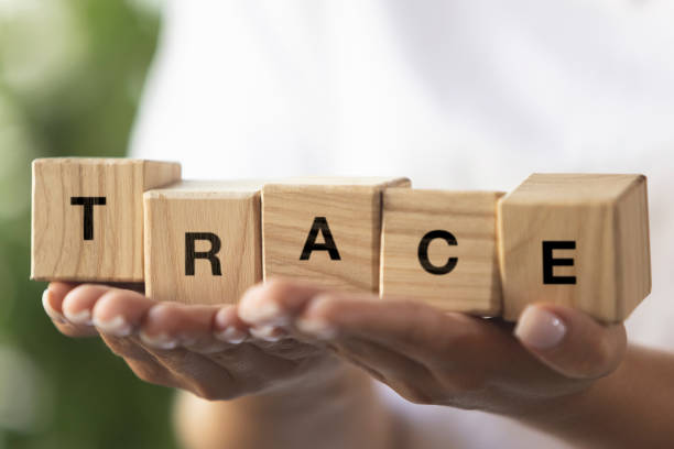 istock Female hands holding wooden cubes, blocks word TRACE. Conceptual image about human rights, education, social issues, support, mental health, education and personal development. 1335257524