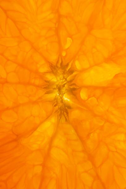 istock Closed up orange fruits. 1335258987