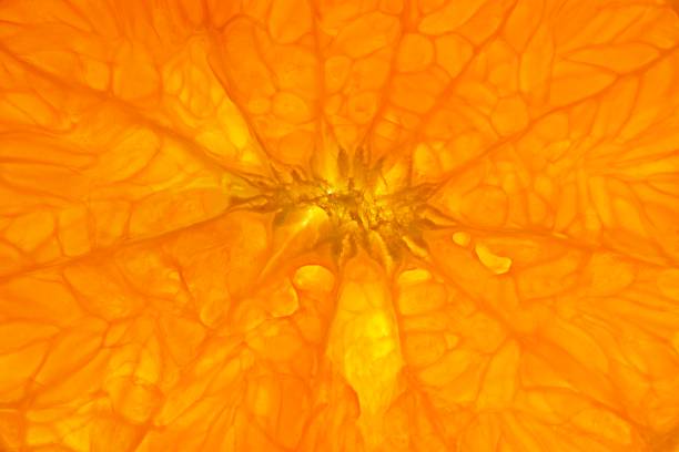 istock Closed up orange fruits. 1335258989