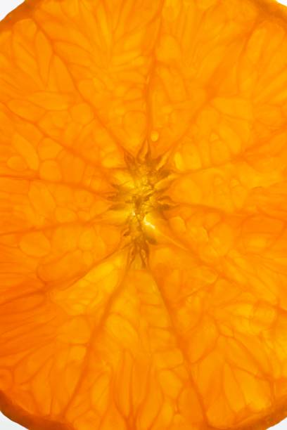 istock Closed up orange fruits. 1335258990