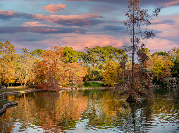 beautiful views of this park in Madrid where you can see the clouds with beautiful sunset colors, the trees that give us typical autumn colors and a lake that offers us a very beautiful reflection of the trees