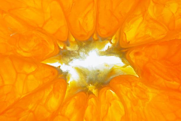 istock Closed up orange fruits. 1335259054