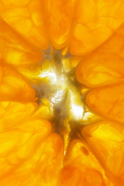 istock Closed up orange fruits. 1335259070