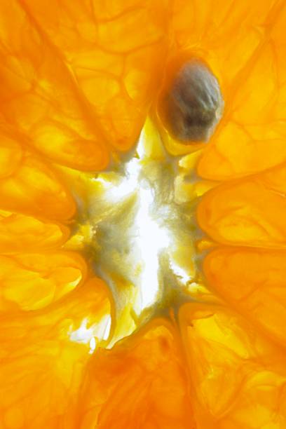 Closed up slice of orange fruit and seed.