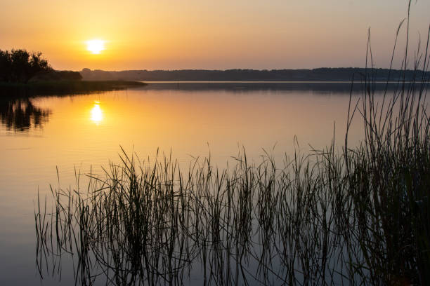istock Dawn of Ushiku Swamp, Ibaraki Prefecture 1335260788