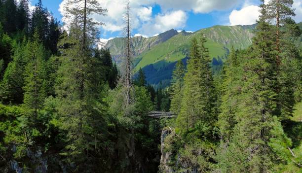istock bridge over waterfall in the woods in austria 1335261343