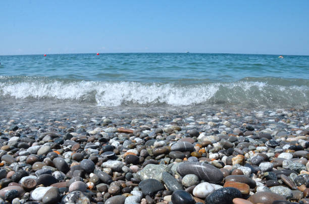 istock Surf on the beach in Loo, Russia 1335261872