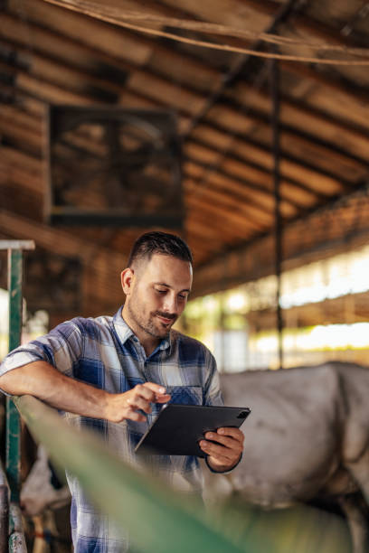 istock Adult man, checking the numbers on his tablet. 1335261879