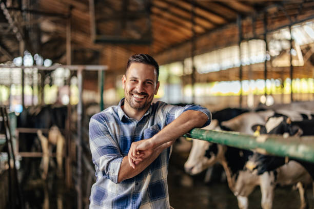 istock Adult man, getting ready to go home. 1335261902