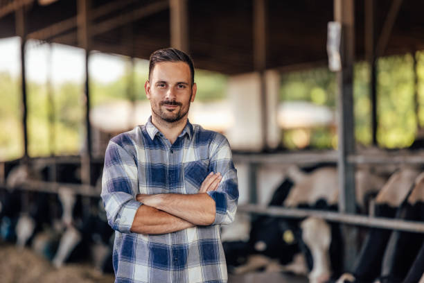 istock Adult man, taking his job seriously. 1335261959