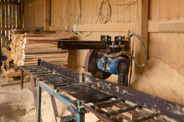 istock Texture. Woodworking waste. Heaps of chips, bark, pieces and sawdust. 1335262795