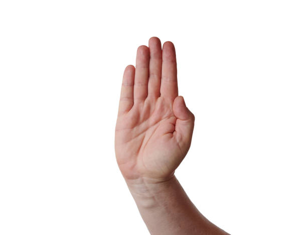 istock Hand in the form of stop the step isolated from the background 1335264564