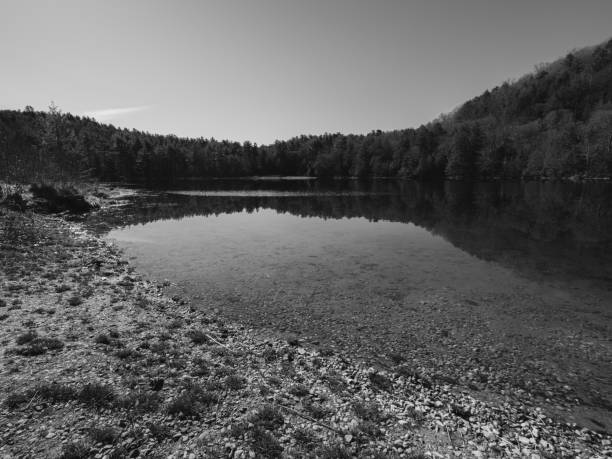 A pond surrounded by trees in the Berkshires of Massachusetts