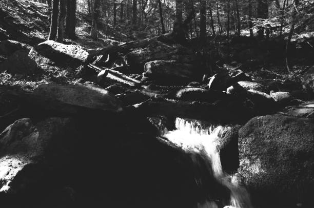 istock Woodland stream cascading through the forest 1335264877