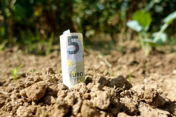 A five euro note growing in soil for an ESG concept A euro note planted in the soil as an investing, saving, money managing concept five euro banknote photos stock pictures, royalty-free photos & images