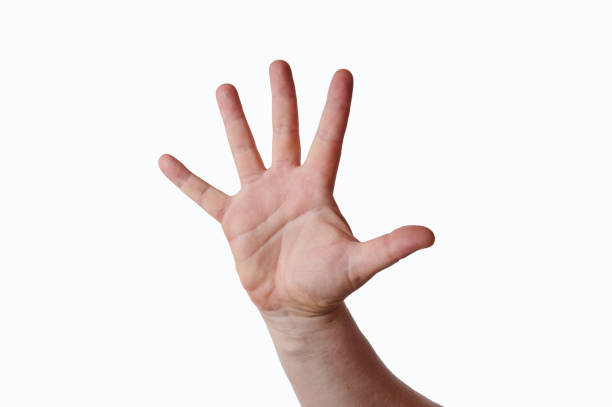 istock Hand of a man with open fingers on a white background 1335264900