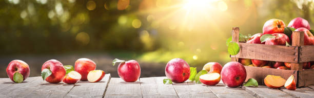 Apples In A Basket Outdoor Sunny Background