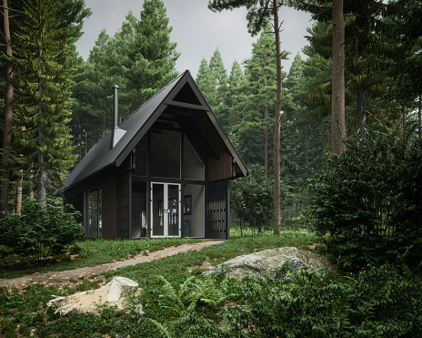 Digitally generated modern house in the forest.\n\nThe scene was created in Autodesk® 3ds Max 2022 with V-Ray 5 and rendered with photorealistic shaders and lighting in Chaos® Vantage with some post-production added.