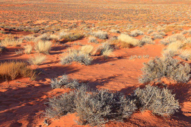 istock Horseshoe Bend, Arizona 1335269937