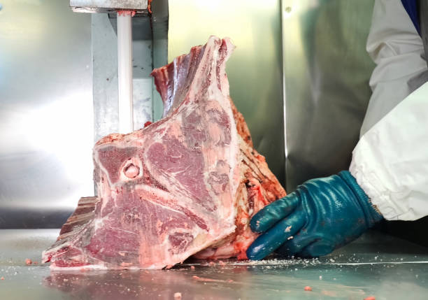 istock Cutting camel carcass into pieces. Camel meat. 1335272369