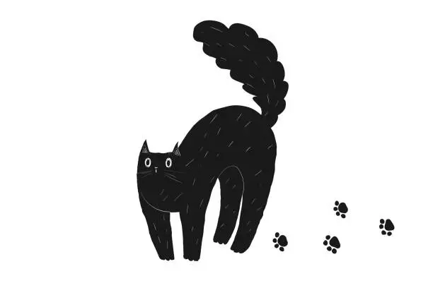Vector illustration of Black cute doodle Halloween cat arches its back. A scared cat with big eyes and a fluffy tail. Kawaii fat animal in hand drawn style. Stock vector illustration on a white background.