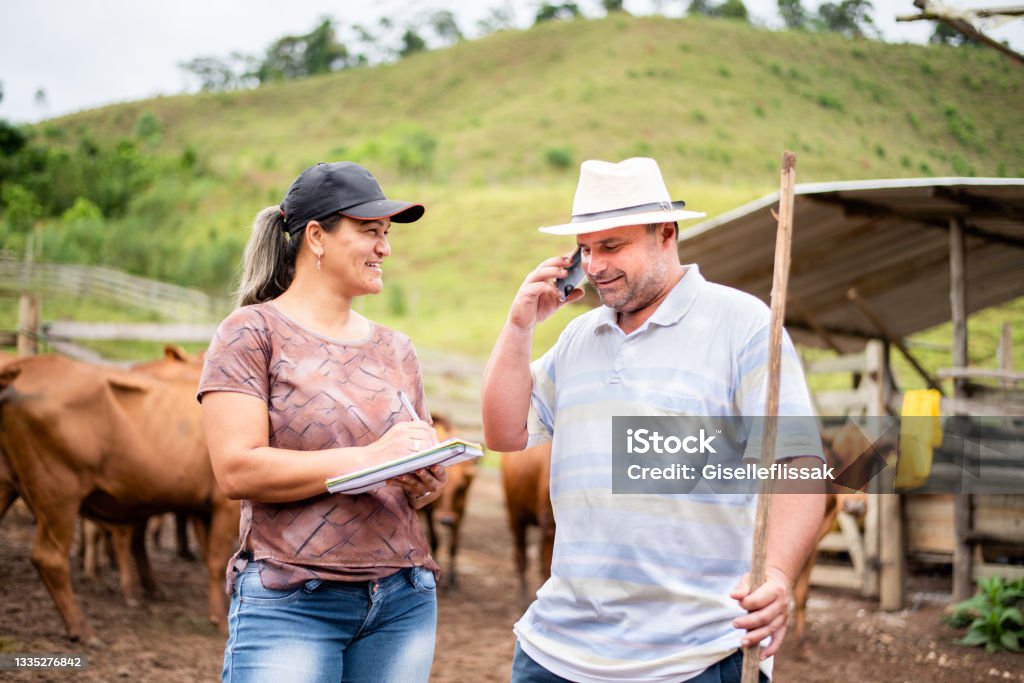 Smiling farm manager and farmer working together on a cattle ranch Smiling farmer talking on a phone with his farm manager taking notes while standing together in a corral on a cattle ranch Farmer Stock Photo