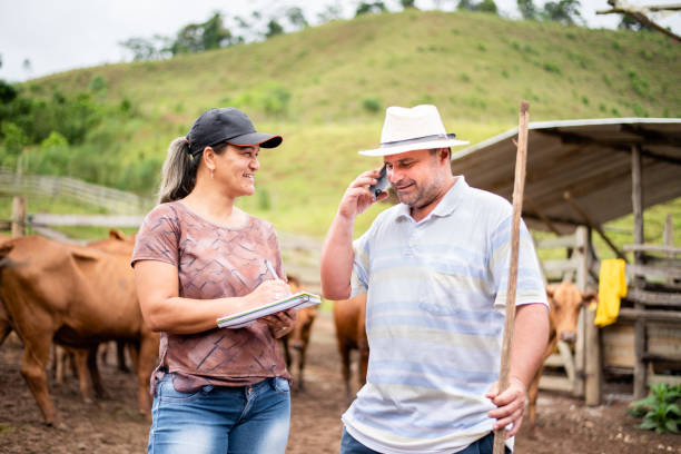 Smiling farm manager and farmer working together on a cattle ranch Smiling farmer talking on a phone with his farm manager taking notes while standing together in a corral on a cattle ranch beef pad stock pictures, royalty-free photos & images