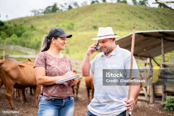Smiling Farm Manager And Farmer Working Together On A Cattle Ranch Stock Photo - Download Image Now