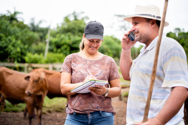 istock Smiling farmer and manager working together on a cattle ranch 1335276854