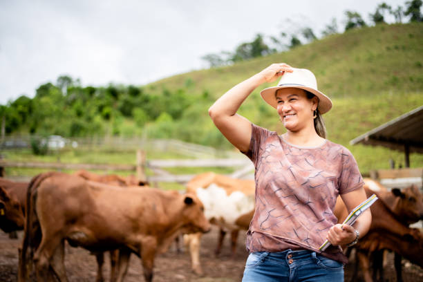 牛の牧場のコラルに立っている笑顔の女性農場マネージャー - farm worker ストックフォトと画像