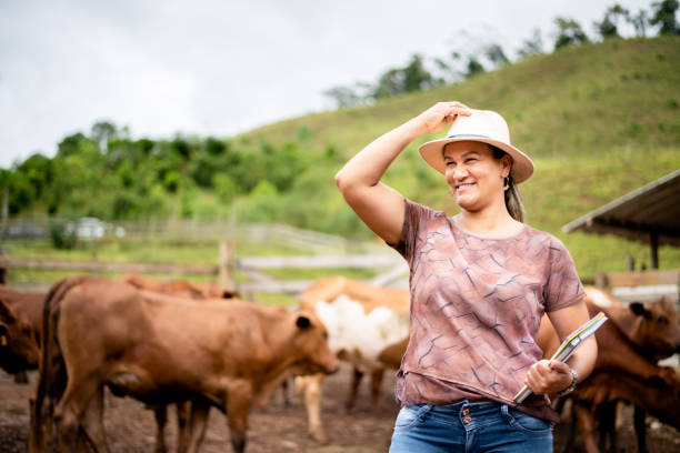 улыбающаяся женщина-менеджер фермы стоит в загоне на ранчо крупного рогатого скота - livestock cow cattle animal стоковые фото и изображения