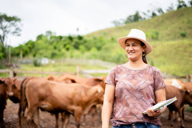 istock Smiling female farm manager working on a cattle ranch 1335276870