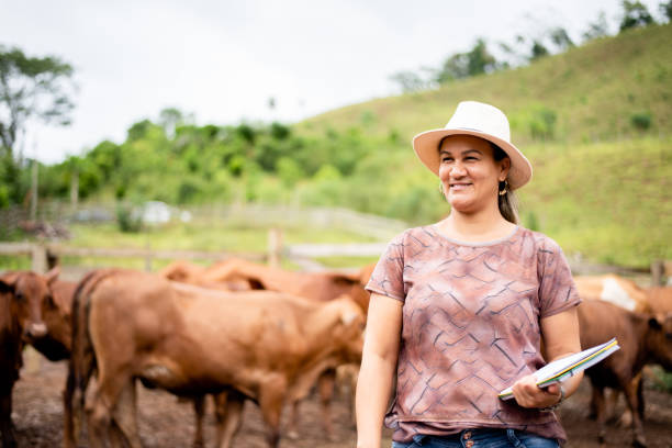 sorridente gerente de fazenda trabalhando em uma fazenda de gado - boi brasil - fotografias e filmes do acervo