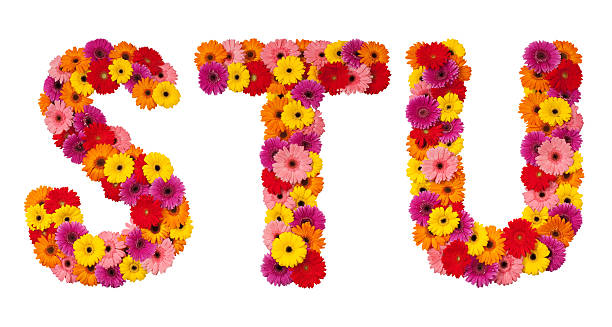 istock Letter S T U - flower alphabet isolated on white 133528022