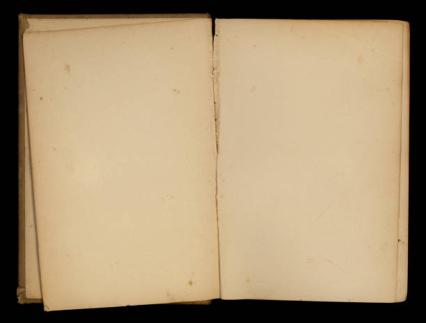 istock Antique Book Open with Blank Pages 1335282094