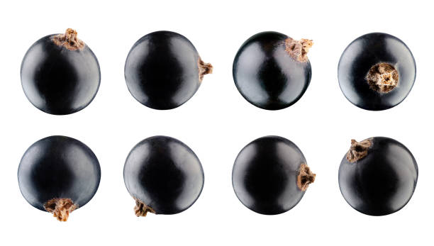 istock Black currant set isolated on white background. Excellent retouching and detailing, full depth of field 1335282589
