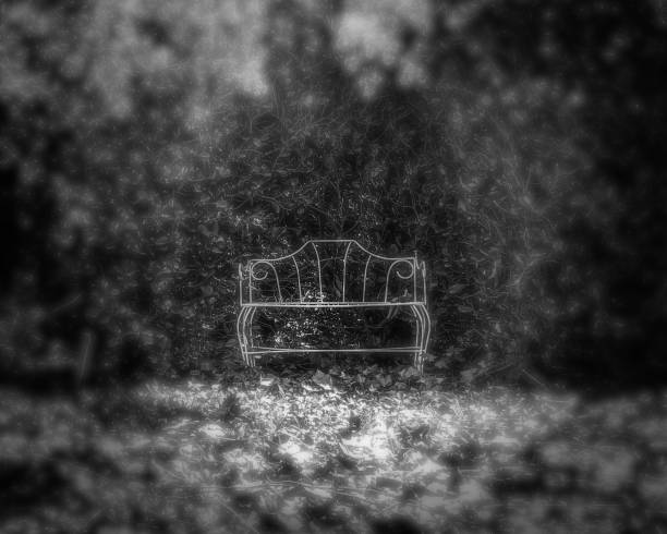 Bench In Black & White stock photo