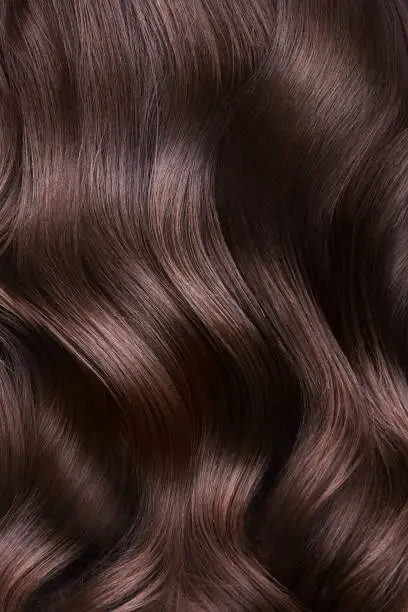 A closeup view of a bunch of shiny curls brown hair.