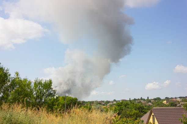 a gray pillar of smoke on the horizon. - forest fire power actions nature imagens e fotografias de stock